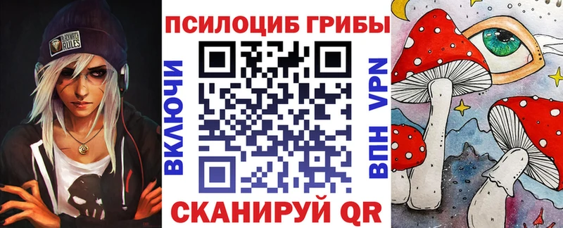 сколько стоит  Кораблино  hydra ссылка  Галлюциногенные грибы Psilocybine cubensis 
